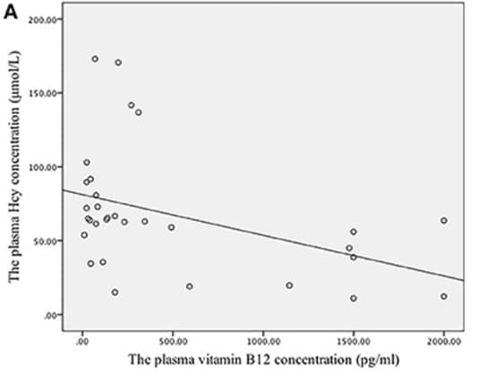 B12 study plasma hey