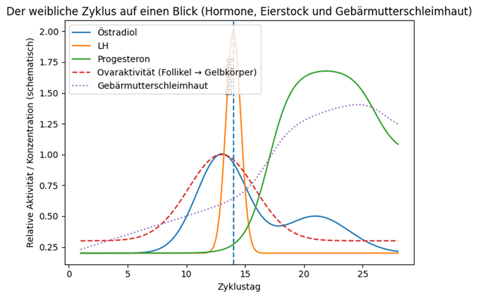 Zyklus