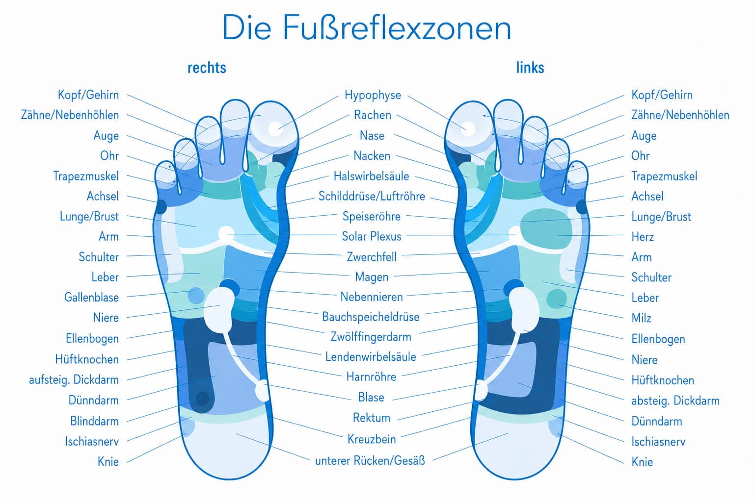 Fussreflexzone