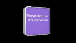 Phosphatidylserin