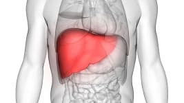 Fettleber, Cholesterin, Hörsturz: ein Fallbeispiel
