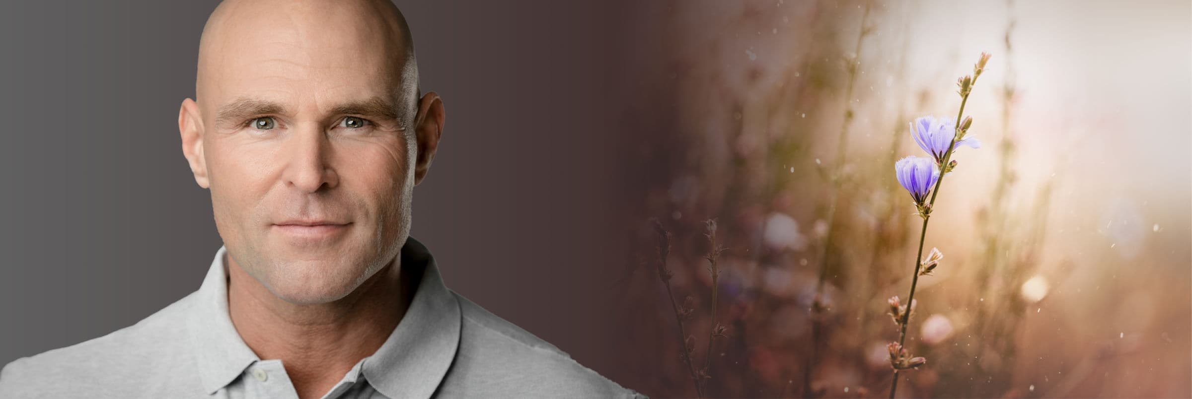 Article header