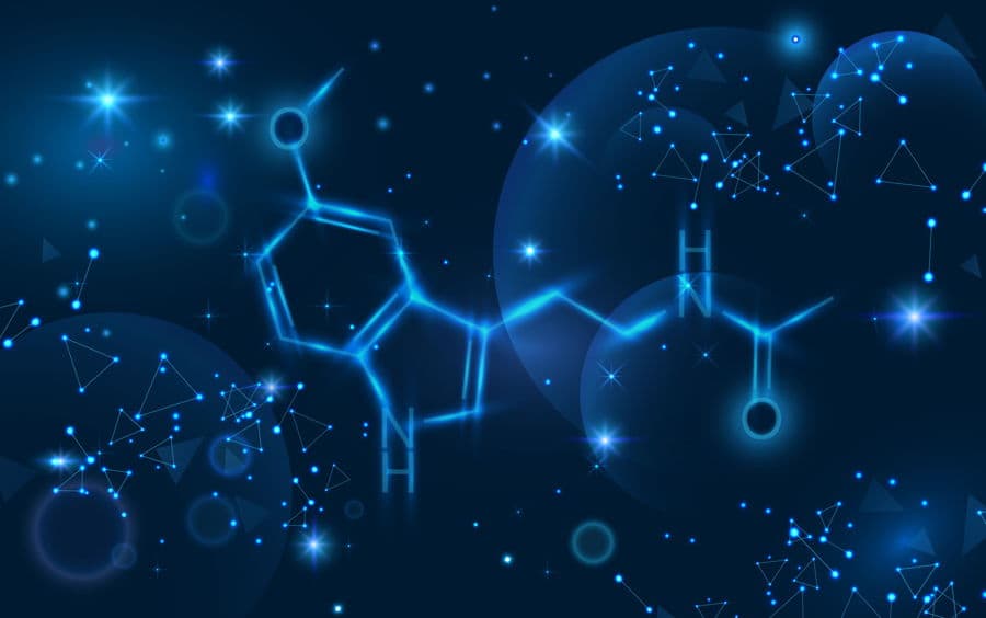 Tryptophan & Vitamin B3