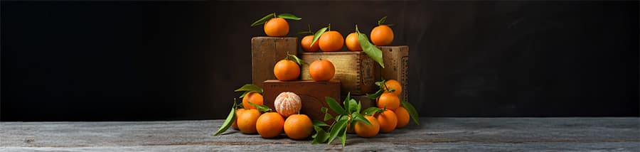 Citrus-Pektin