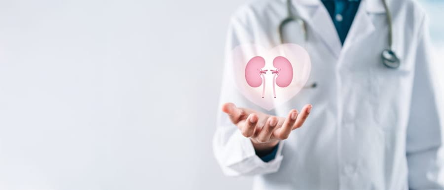 Das Protein-Paradoxon der Nephrologie