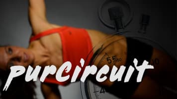 purCircuit