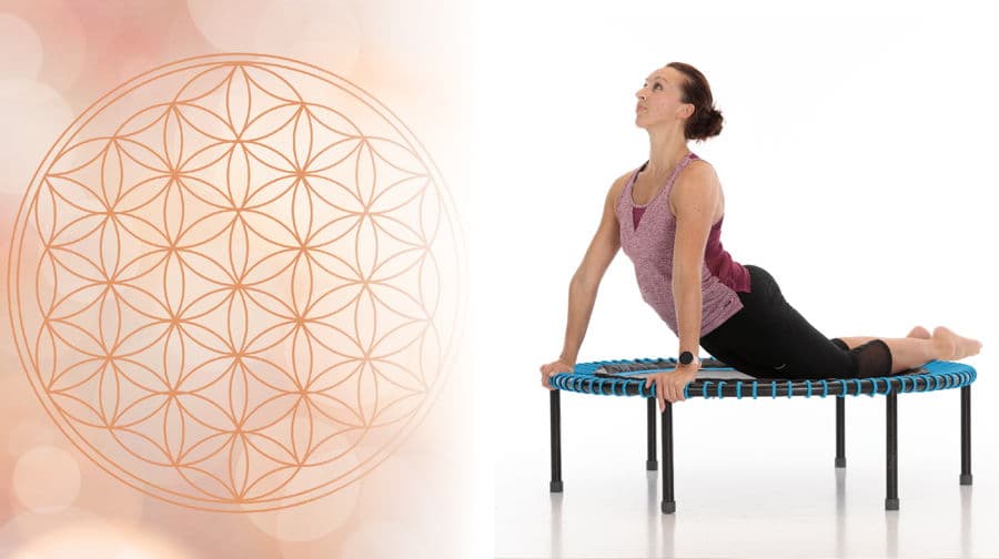 Yoga Bounce