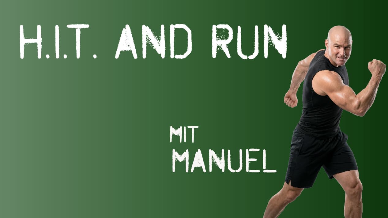 H.I.T. & RUN - Arme